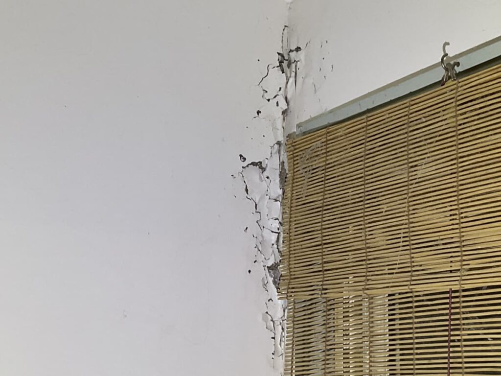 bedroom wall termite damage