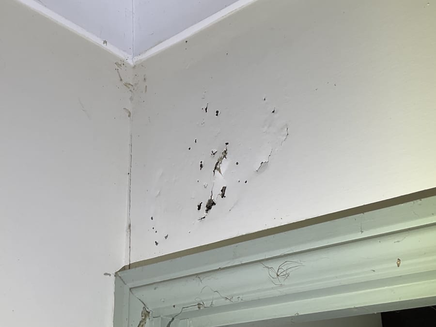 hallway wall termite damage