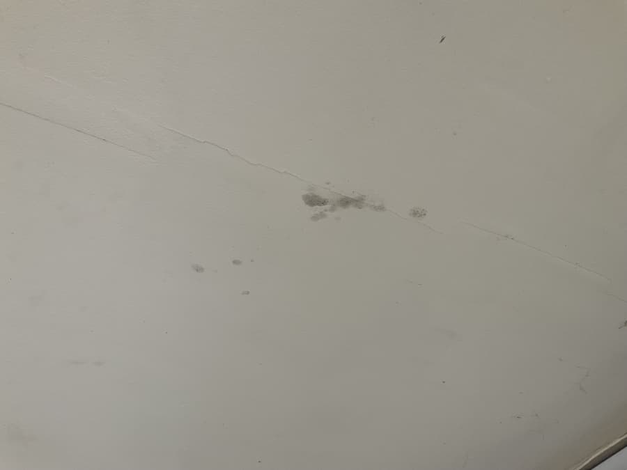 mould on ceiling