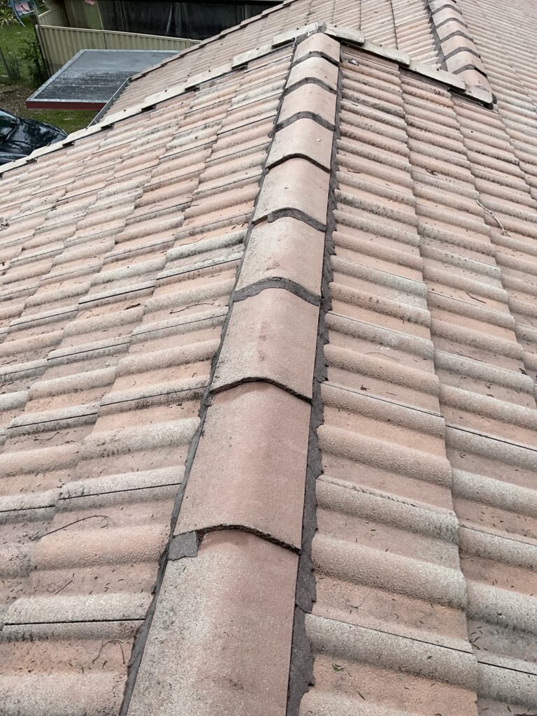 roof maintenance issues